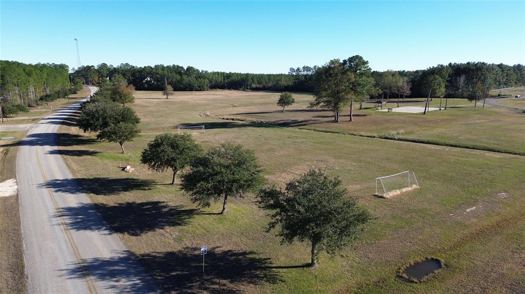 TBD Paw Paw Second Lot, Onalaska, Texas image 7