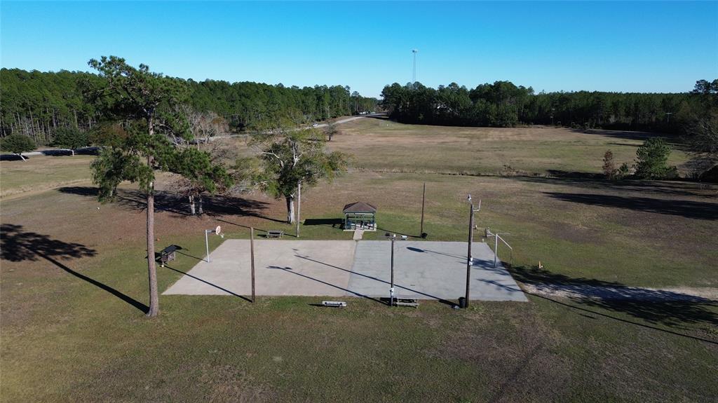 TBD Paw Paw Second Lot, Onalaska, Texas image 8