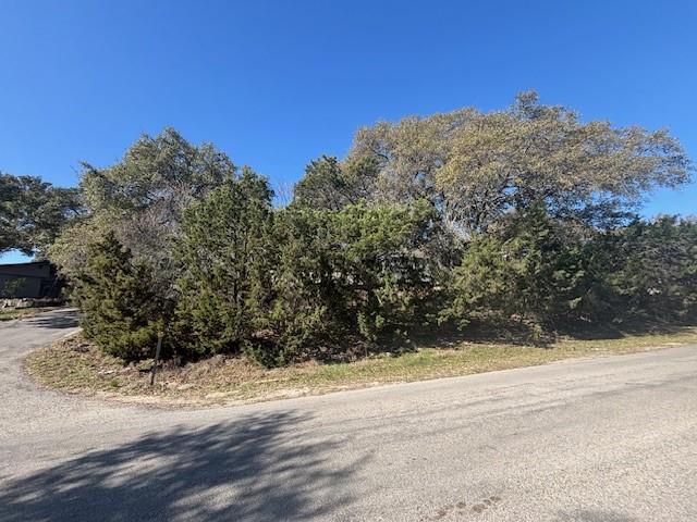 867 Deer Path, Canyon Lake, Texas image 5