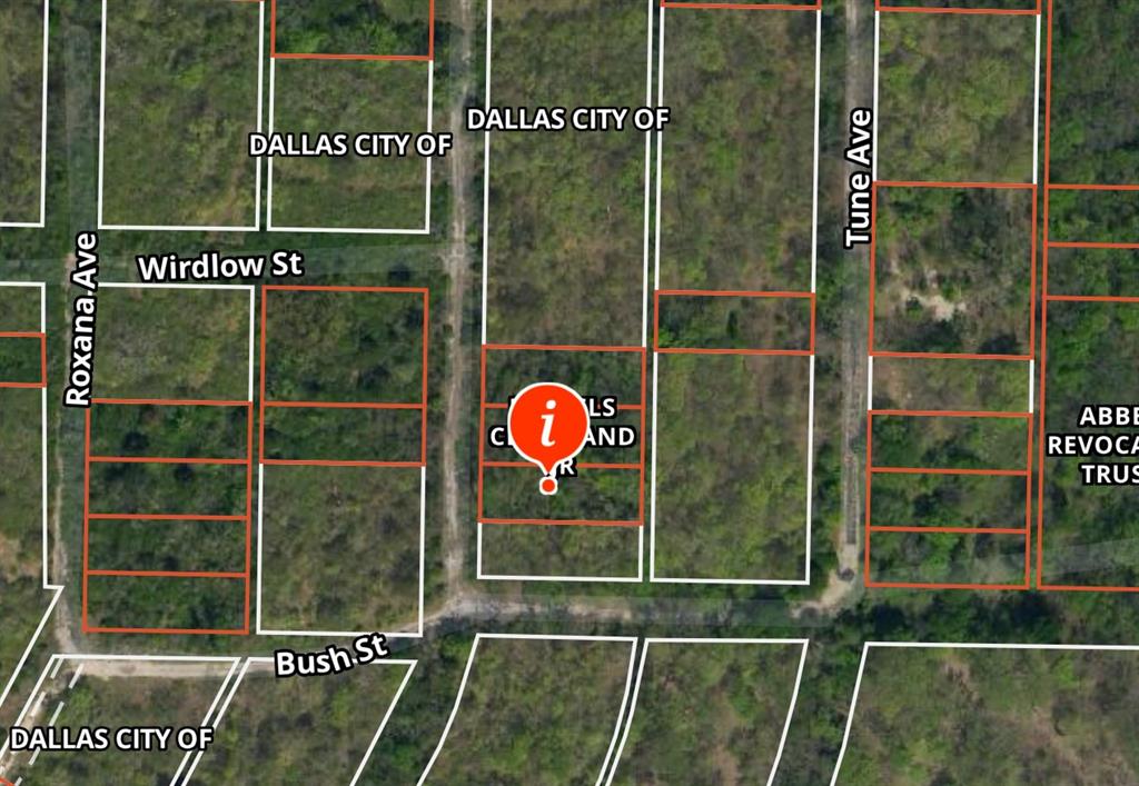 1608 Sunbeam Avenue, Dallas, Texas image 3