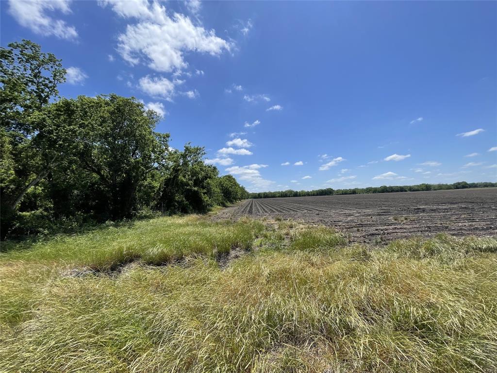 19139 Rycade School Road, Damon, Texas image 8