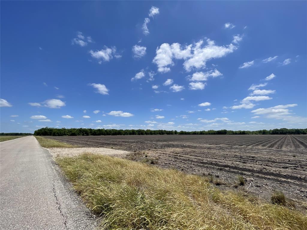 19139 Rycade School Road, Damon, Texas image 7