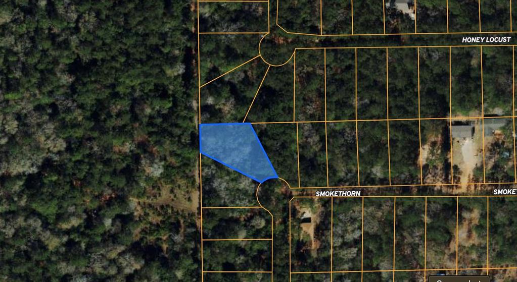 Lot 23 Smokethorn Lane, Plantersville, Texas image 1