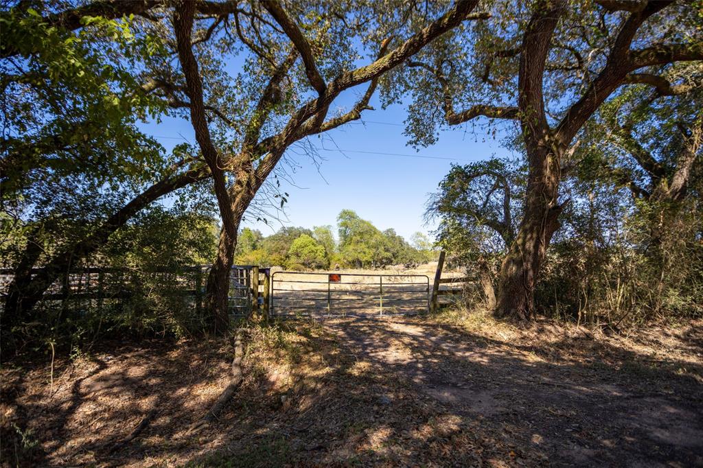 4-13 County Road 161 Shilo Loop, Cedar Lane, Texas image 1