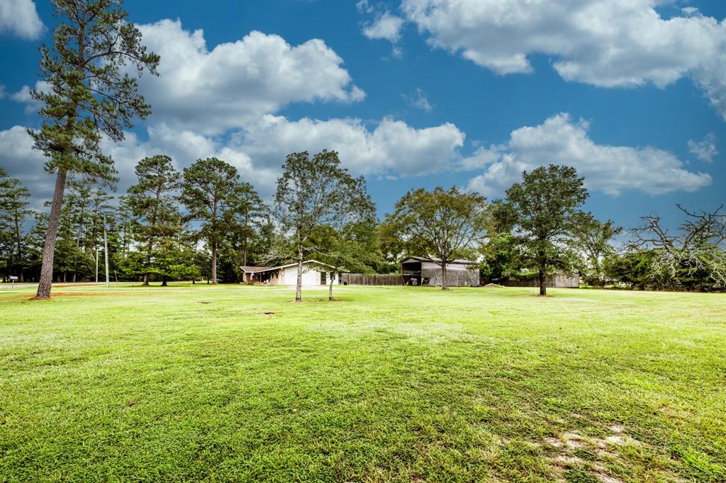 3 Forest Creek Drive, Huntsville, Texas image 30