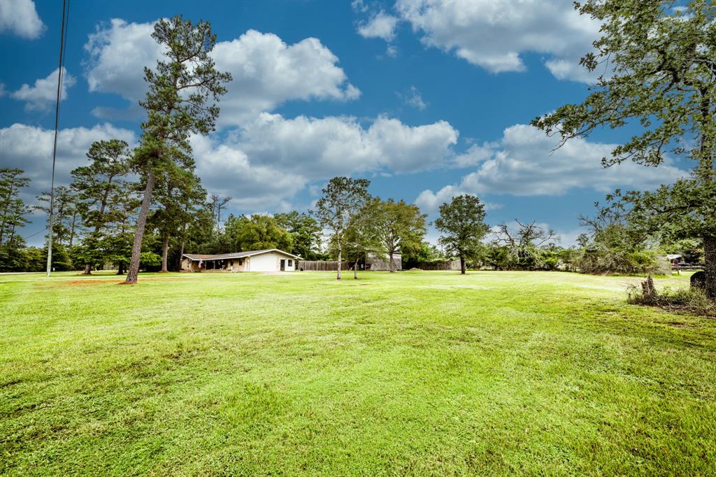 3 Forest Creek Drive, Huntsville, Texas image 3