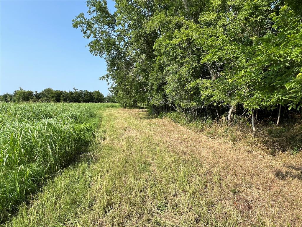 Hwy 35 / Cr-300f, West Columbia, Texas image 18