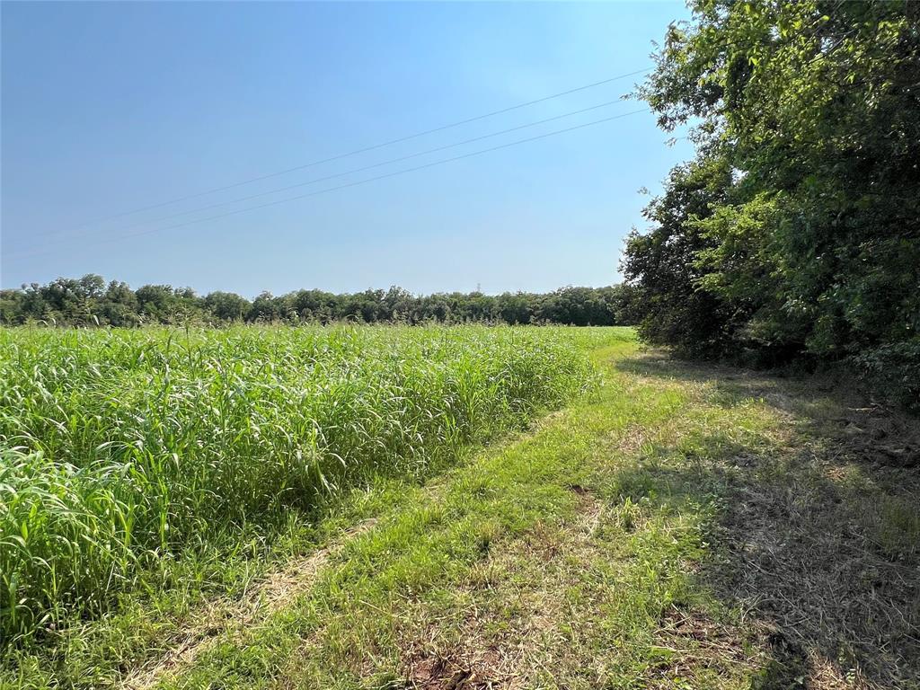 Hwy 35 / Cr-300f, West Columbia, Texas image 4