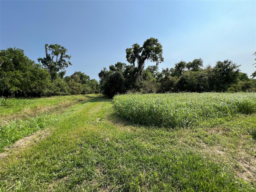 Hwy 35 / Cr-300f, West Columbia, Texas image 14