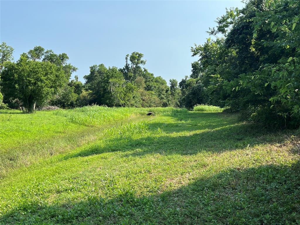 Hwy 35 / Cr-300f, West Columbia, Texas image 25