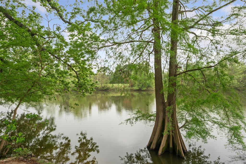 1522 Lakeshore Drive, Kingwood, Texas image 46