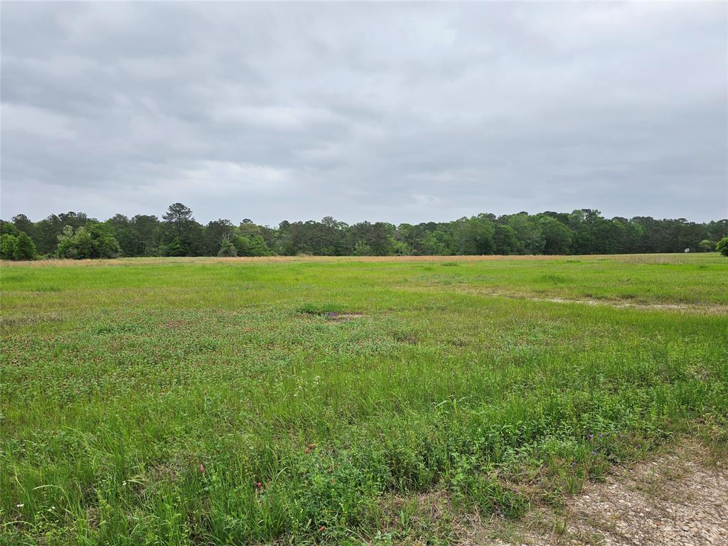18995 Fm 1484 Road, Conroe, Texas image 10