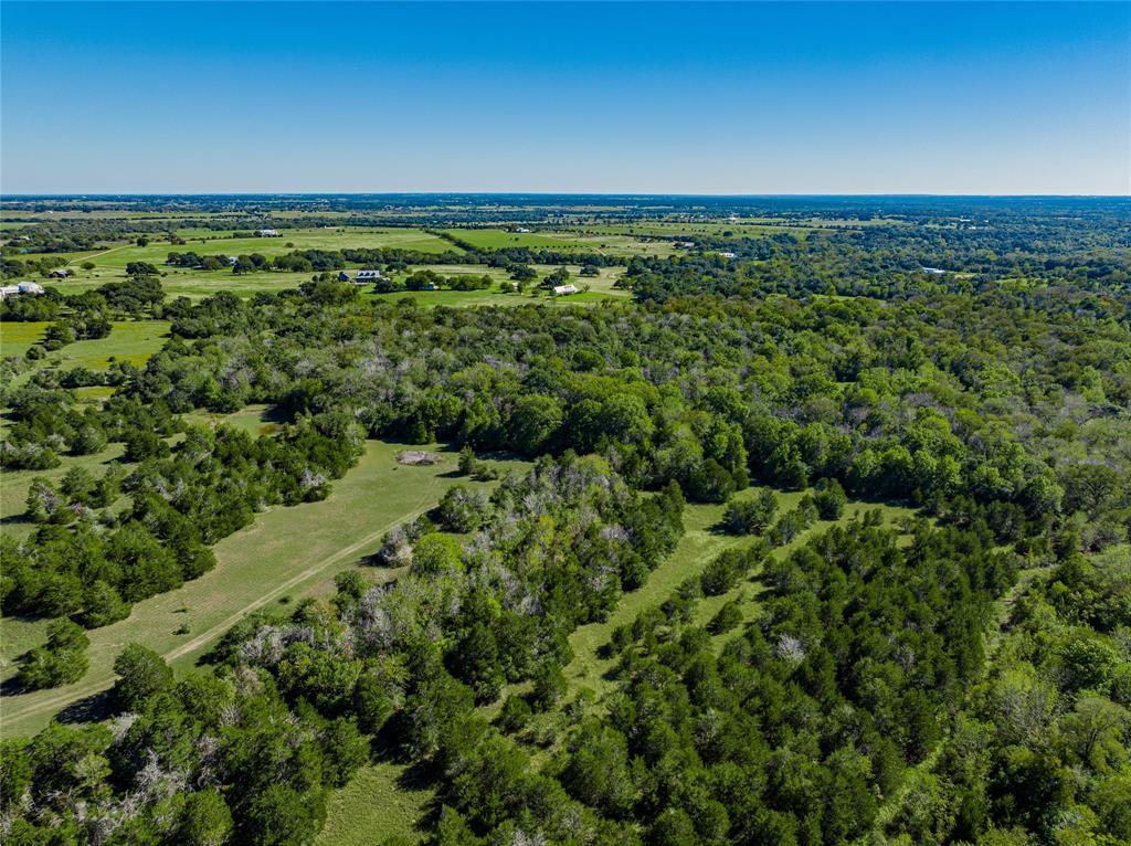 TBD Fm 1457, Round Top, Texas image 9