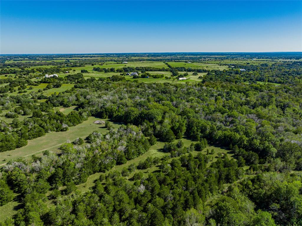 TBD Fm 1457, Round Top, Texas image 6