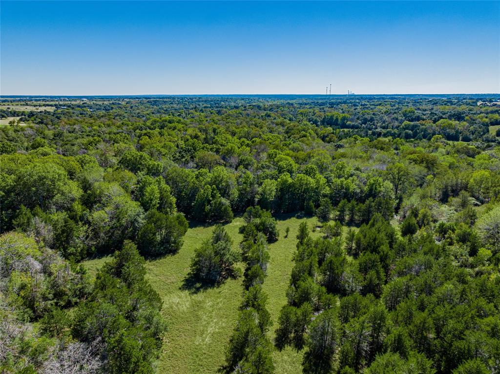 TBD Fm 1457, Round Top, Texas image 12