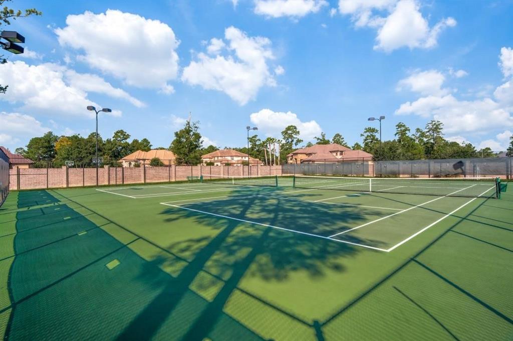 17 S Shadow Creek Villas Loop, Spring, Texas image 7