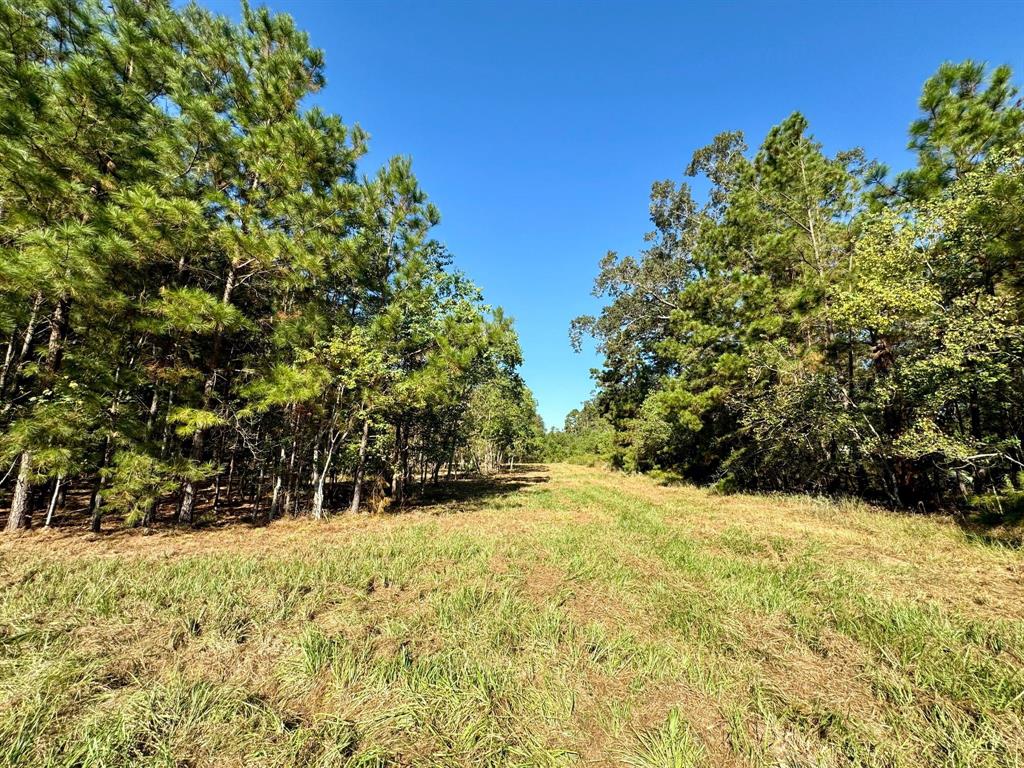 403 Remington Trail, Huffman, Texas image 9