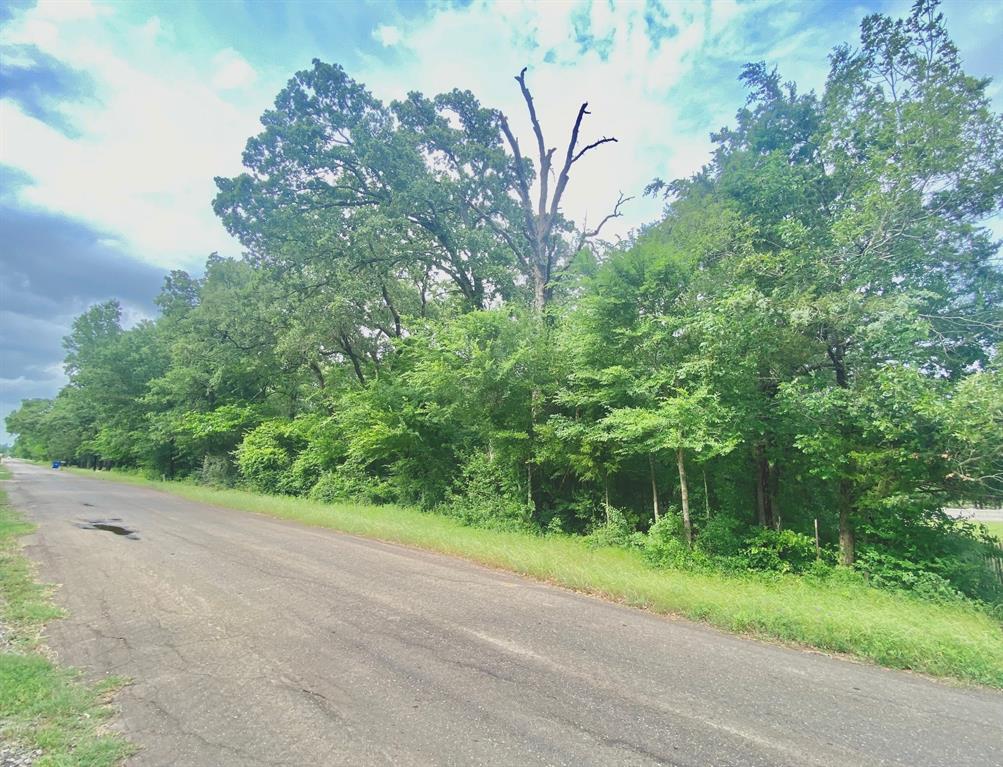 TBD Cr 3107, Crockett, Texas image 2
