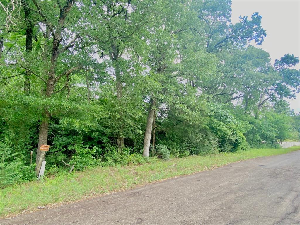 TBD Cr 3107, Crockett, Texas image 7