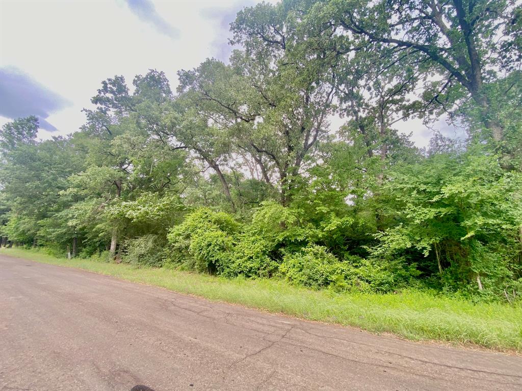 TBD Cr 3107, Crockett, Texas image 5