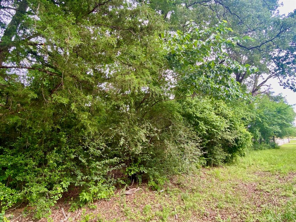TBD Cr 3107, Crockett, Texas image 8