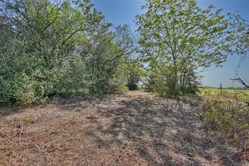 1348 Grubbs Road, Sealy, Texas image 6