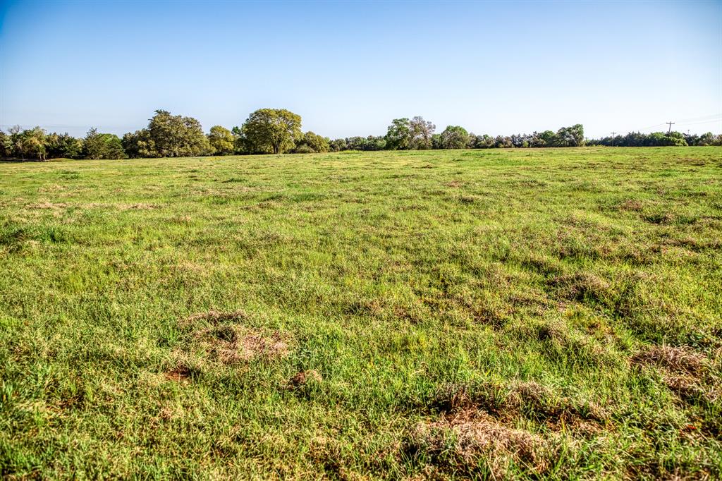 TBD Brandt Rd, Burton, Texas image 5