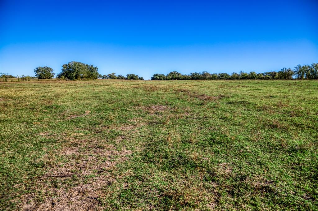 06 Sawmill Road Tract 6, Brenham, Texas image 5