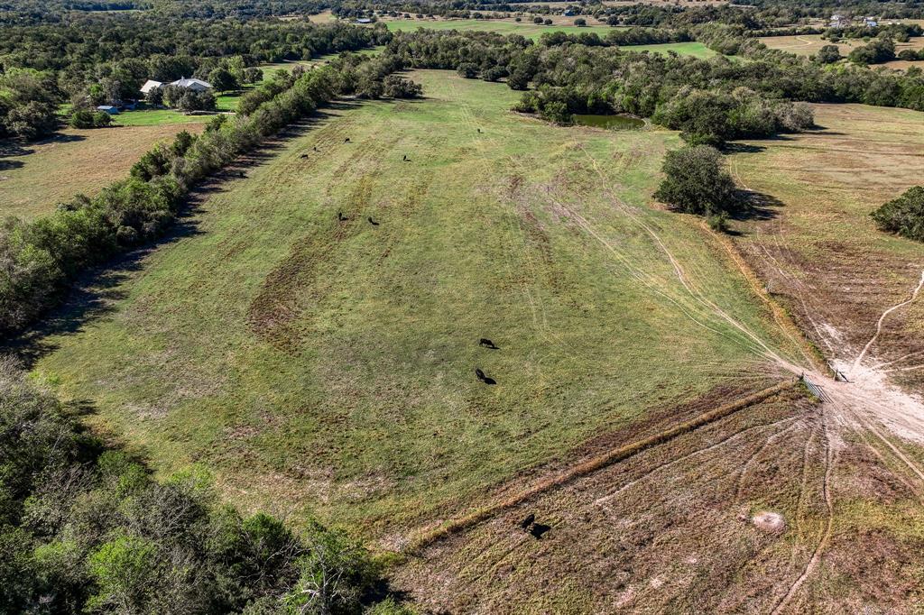 06 Sawmill Road Tract 6, Brenham, Texas image 7