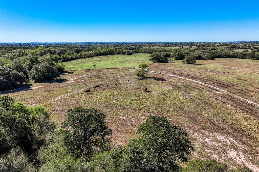 06 Sawmill Road Tract 6, Brenham, Texas image 6