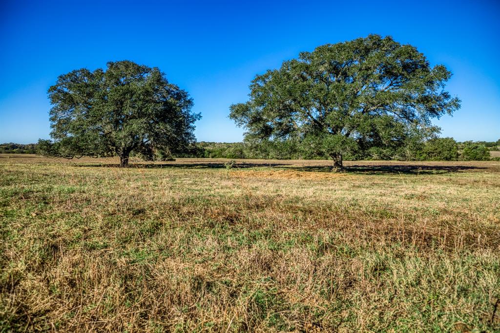 06 Sawmill Road Tract 6, Brenham, Texas image 1