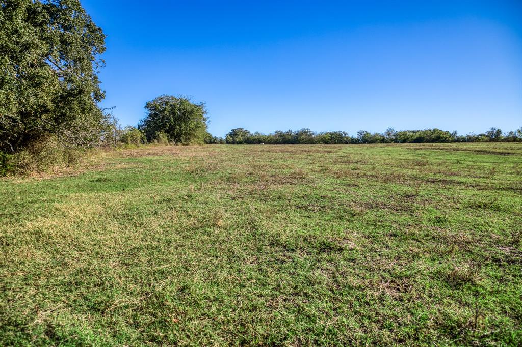 06 Sawmill Road Tract 6, Brenham, Texas image 4