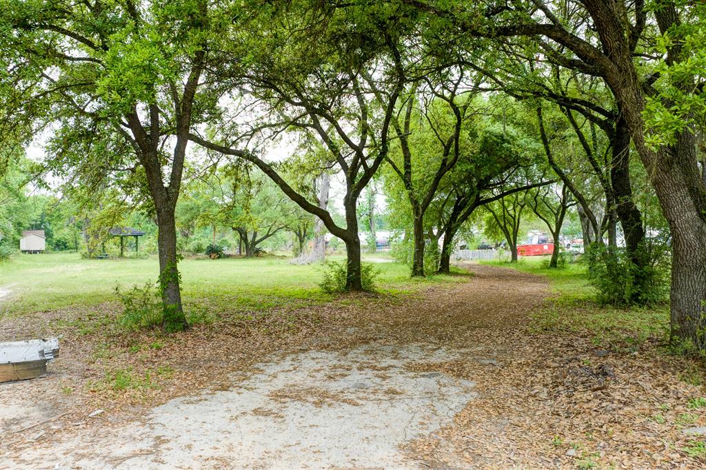 13008 Kluge Road, Cypress, Texas image 33