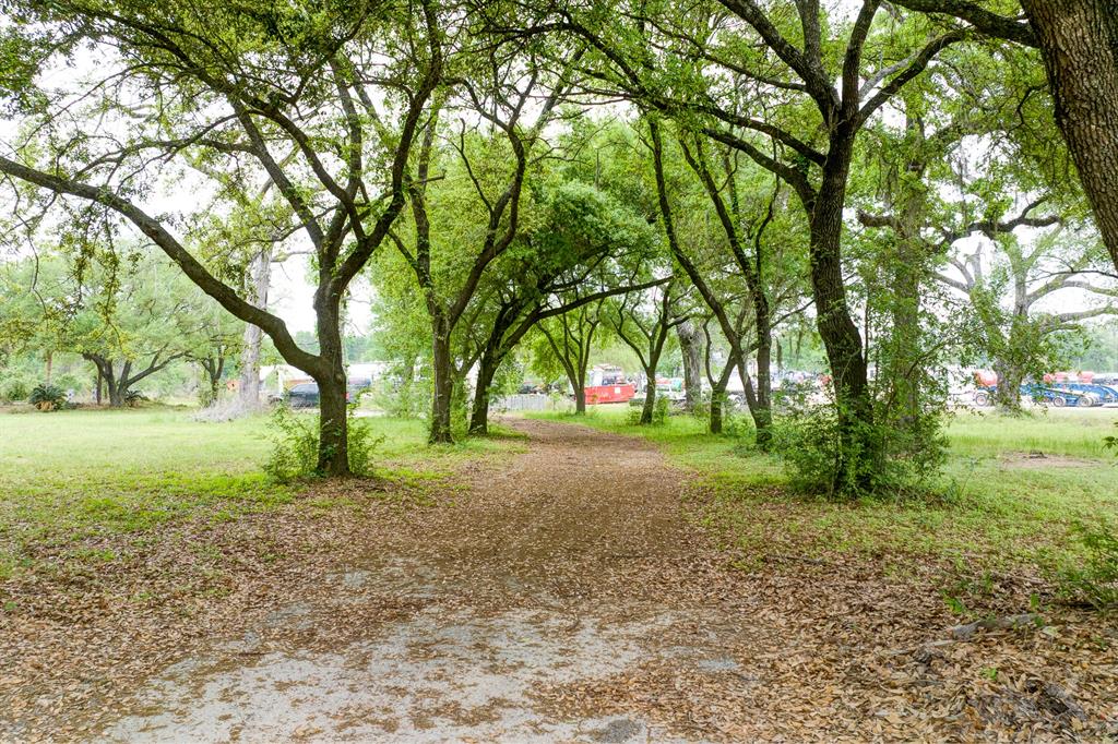 13008 Kluge Road, Cypress, Texas image 34