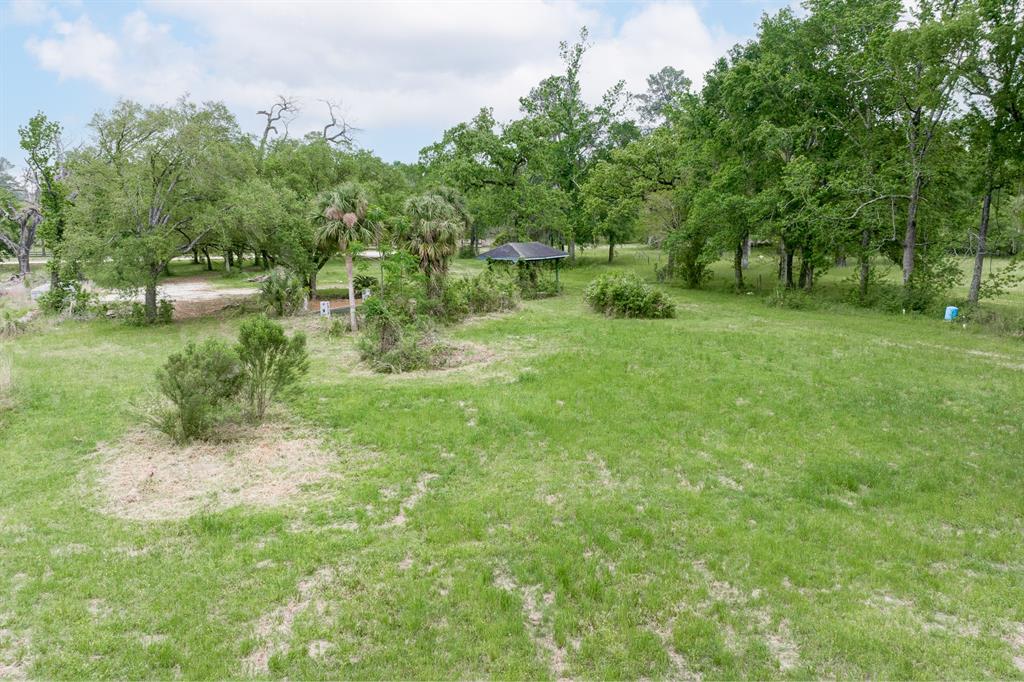 13008 Kluge Road, Cypress, Texas image 26