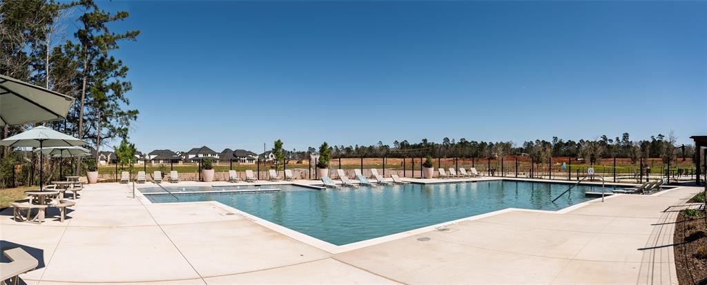 14816 Shorthorn Run Lane, Montgomery, Texas image 10