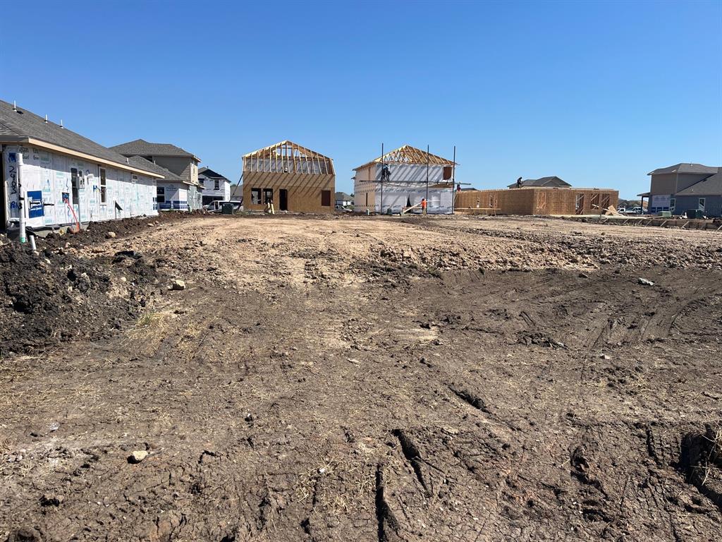 2415 Imperial Jade Drive, Iowa Colony, Texas image 3