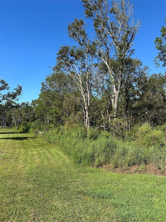2810 Oakwood Trail, Richwood, Texas image 3
