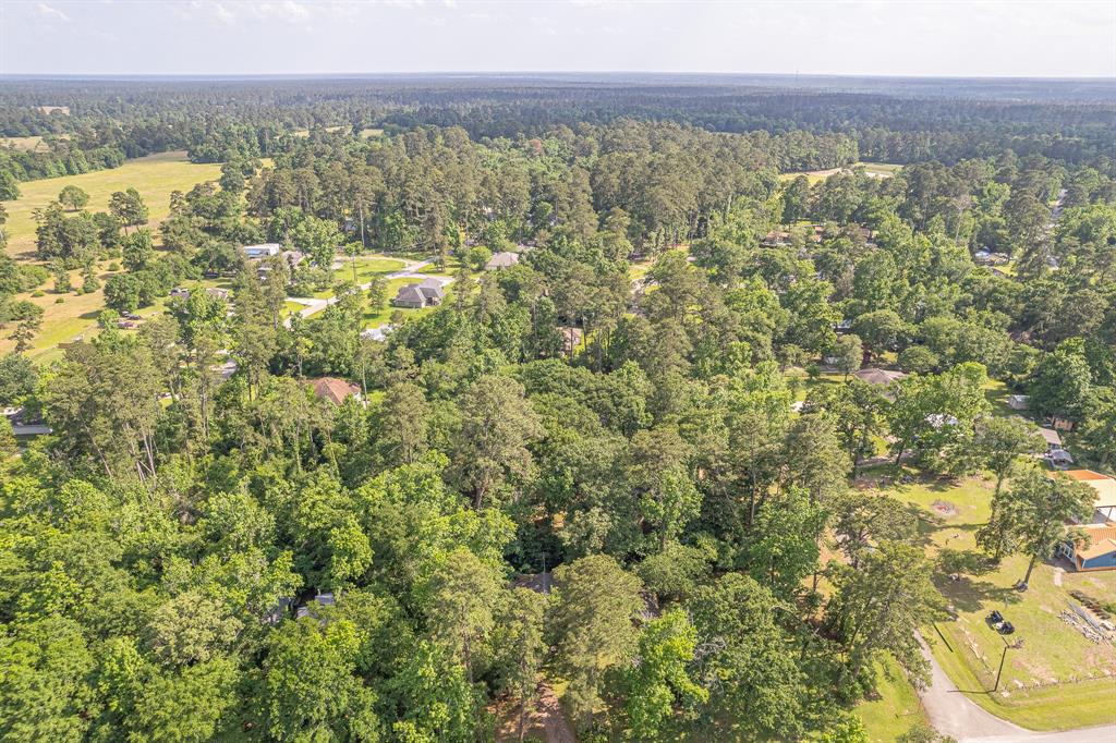 9847 N Lake View, Montgomery, Texas image 25
