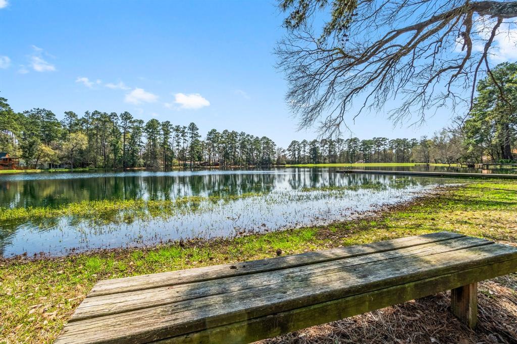 9847 N Lake View, Montgomery, Texas image 49