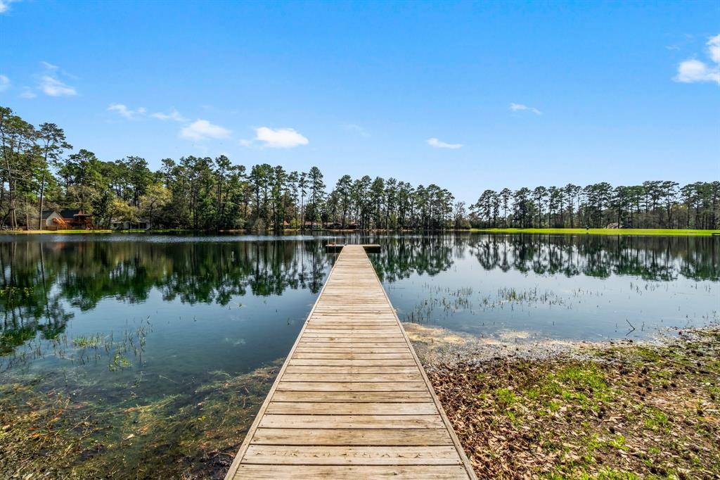 9847 N Lake View, Montgomery, Texas image 44