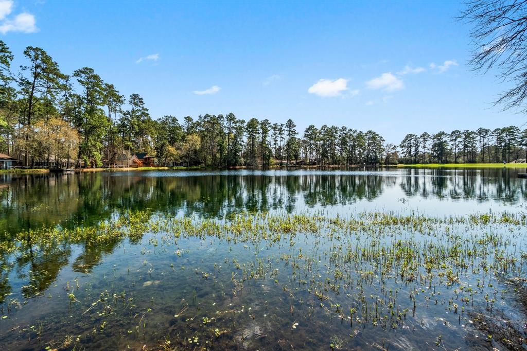 9847 N Lake View, Montgomery, Texas image 18