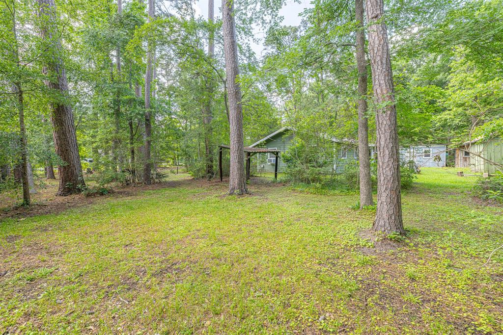 9847 N Lake View, Montgomery, Texas image 3