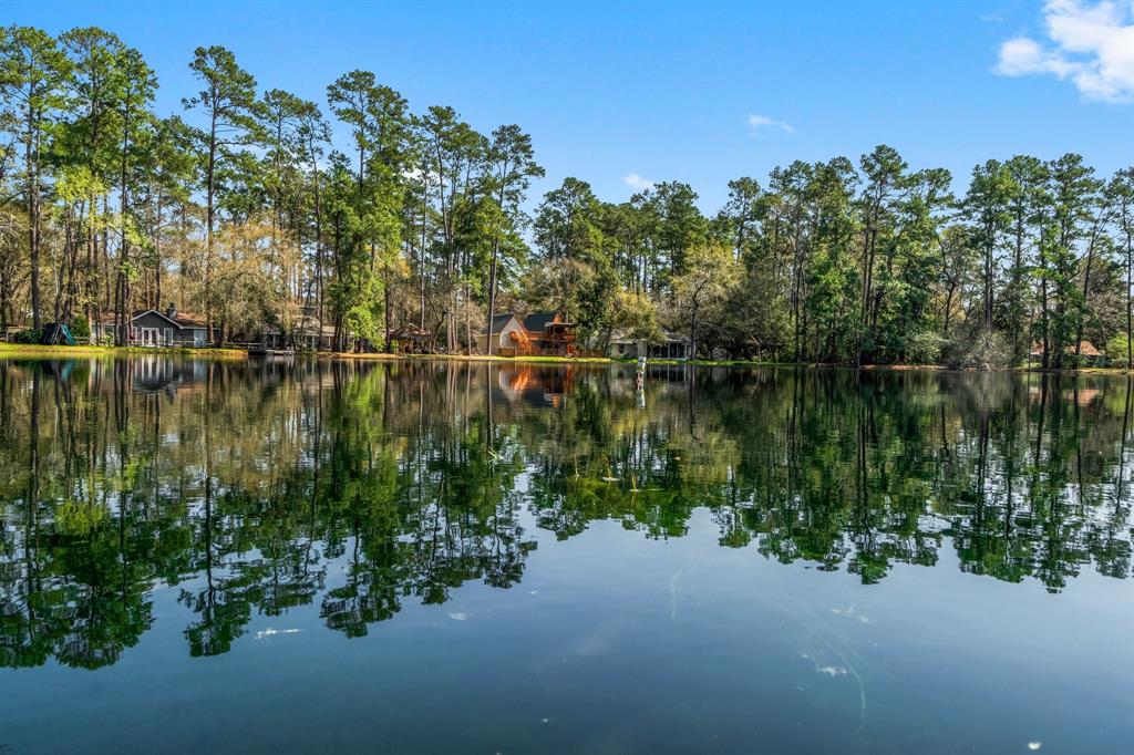 9847 N Lake View, Montgomery, Texas image 45