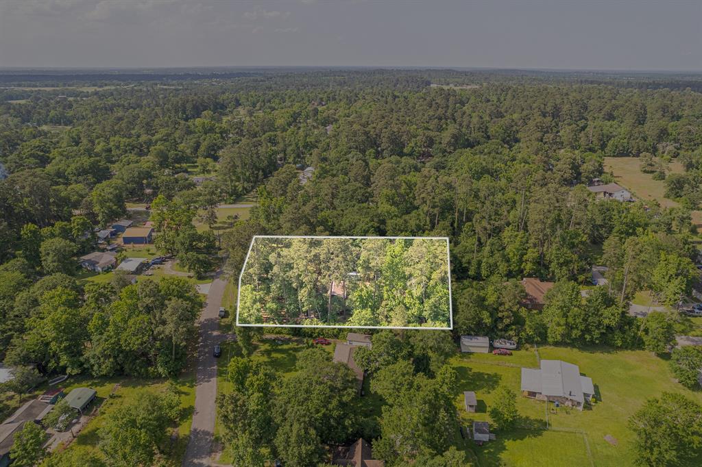 9847 N Lake View, Montgomery, Texas image 39