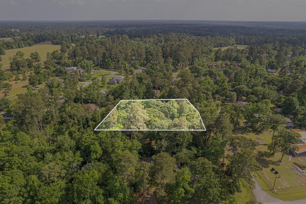 9847 N Lake View, Montgomery, Texas image 41