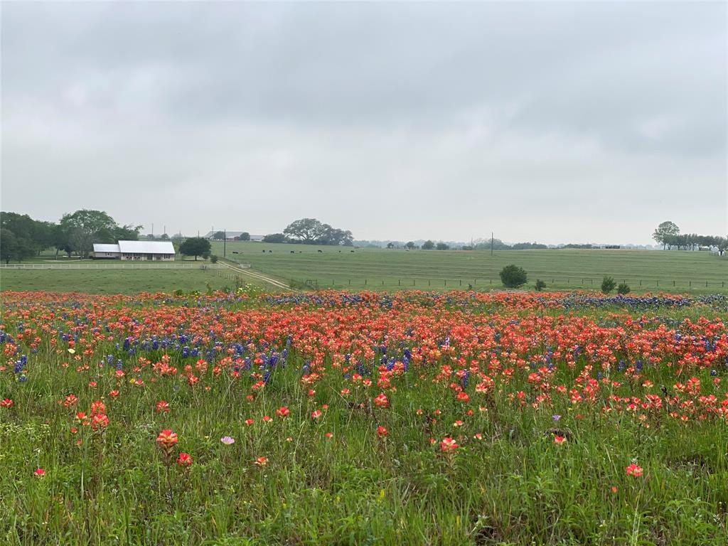 3622 Fm 1295, Flatonia, Texas image 3