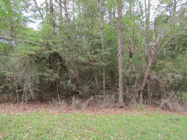 Lot 22 Gnu Street, Onalaska, Texas image 2