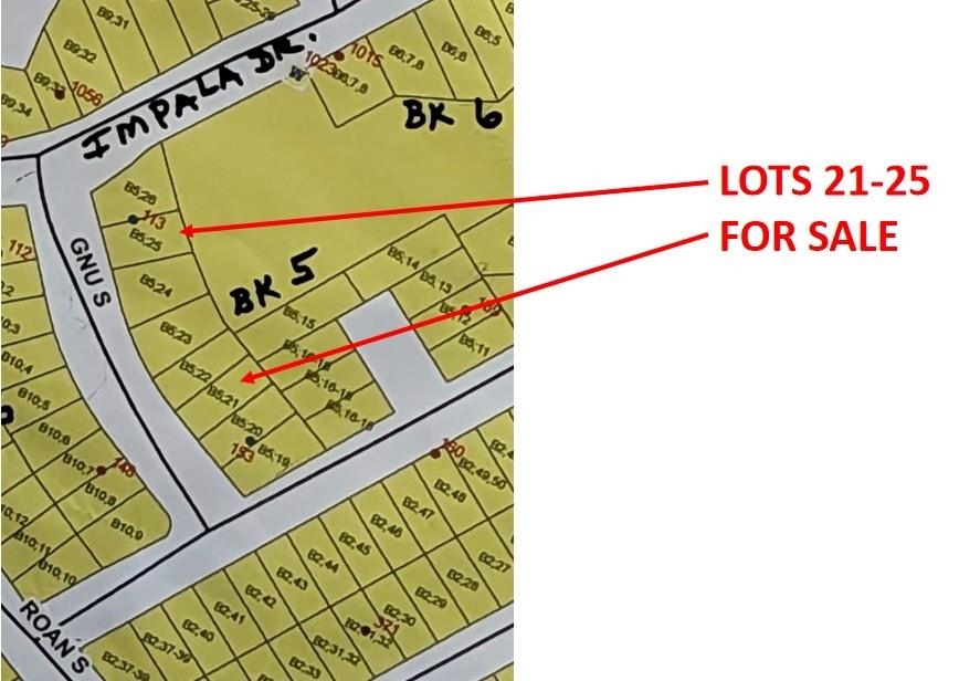 Lot 22 Gnu Street, Onalaska, Texas image 32