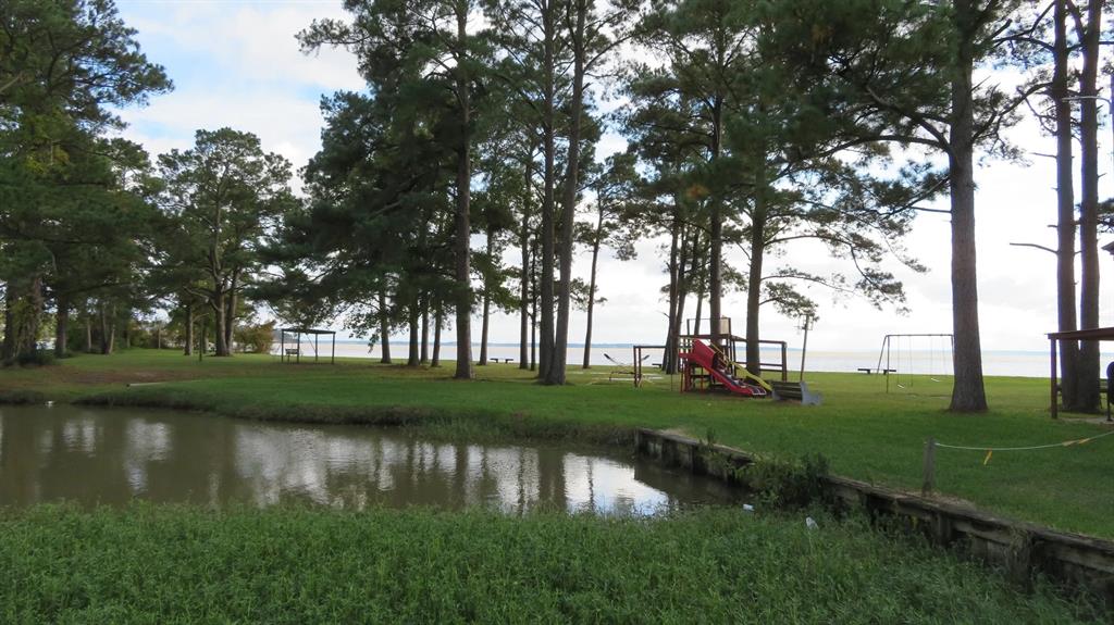 Lot 22 Gnu Street, Onalaska, Texas image 3